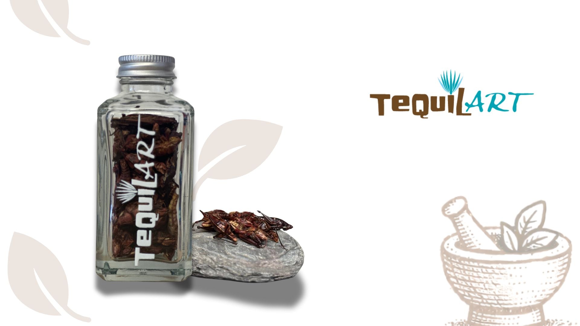 Sauterelles gourmandes