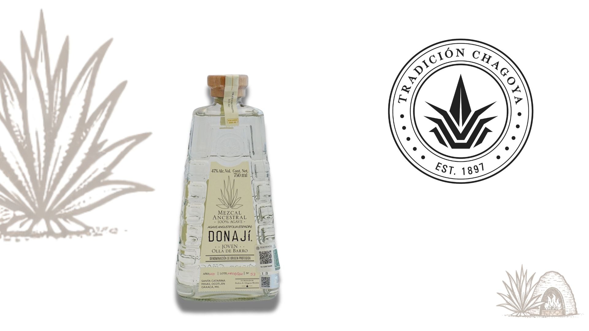 Donají,Ancestral Olla de Barro