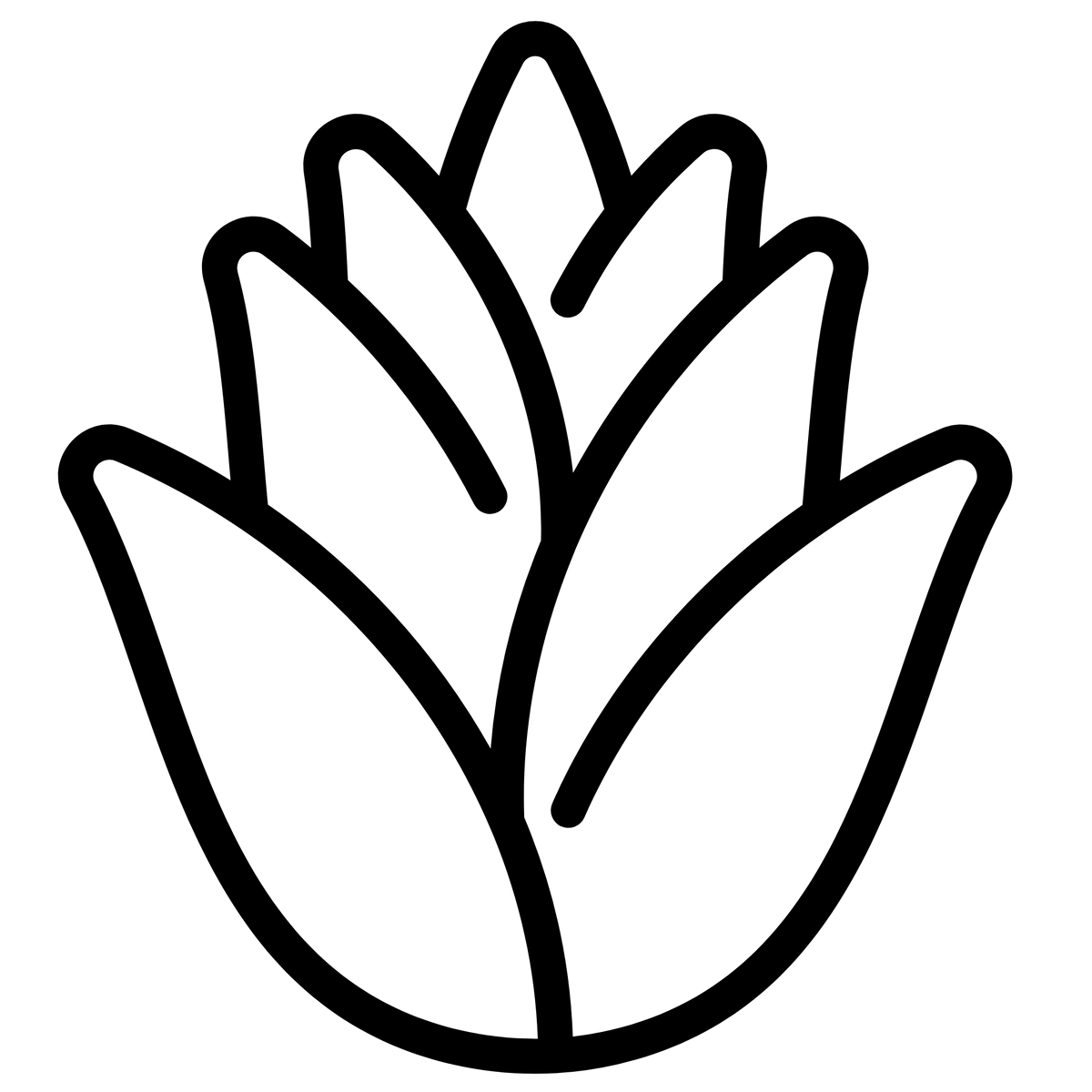 Tequila et mezcal de qualité