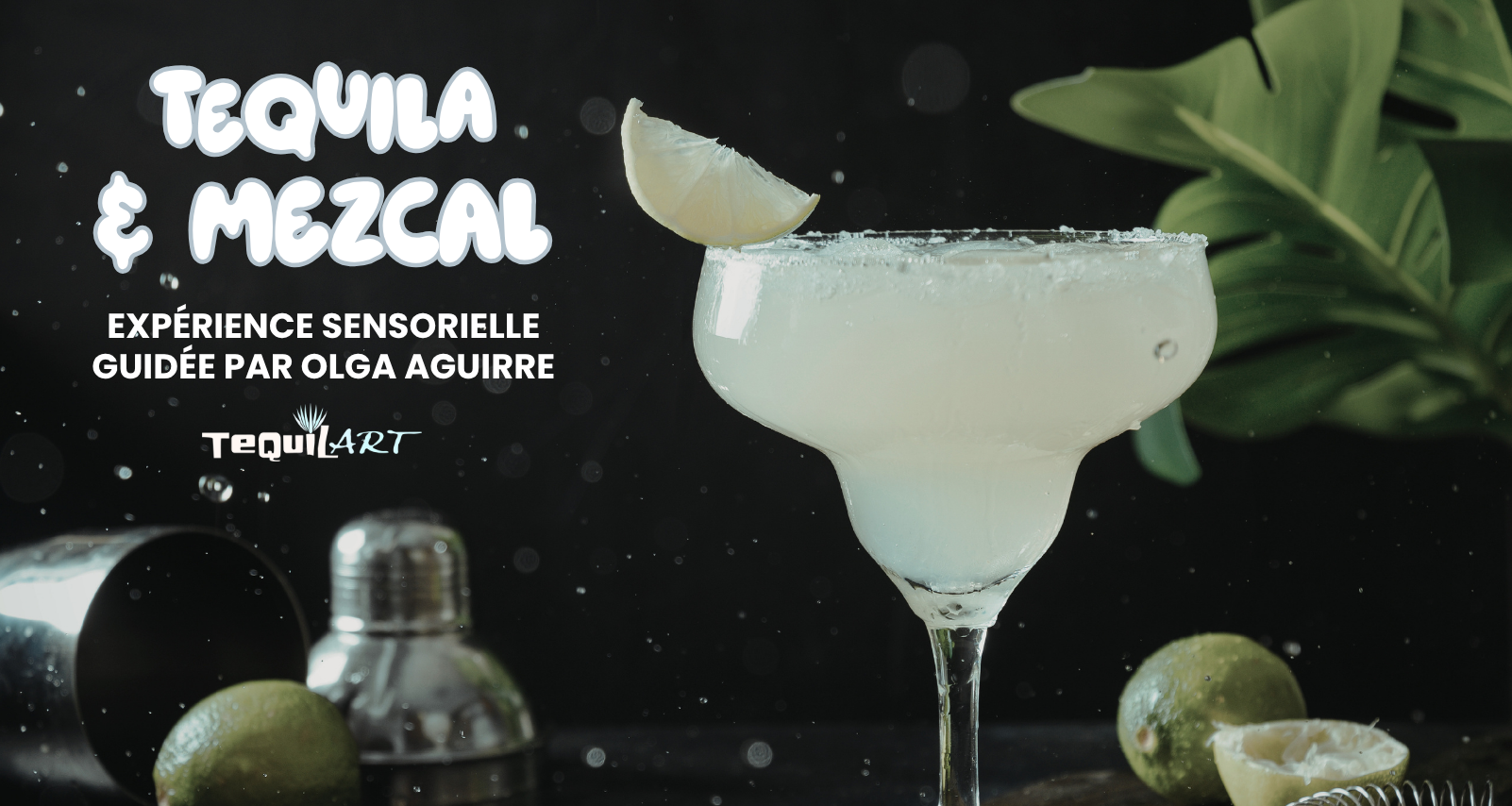 TEQUILA & MEZCAL | EXPÉRIENCE SENSORIELLE